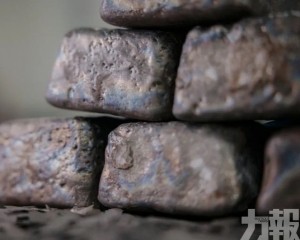 兩大偷運手法曝光
