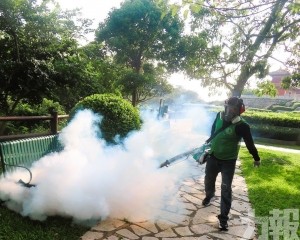 籲勤清積水共防蚊蟲叮咬