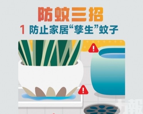 列第二例本地基孔肯雅熱病例