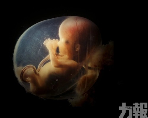 創下「最年長」嬰兒紀錄