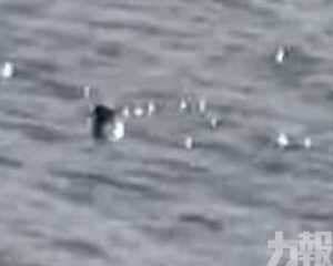 遊客拍下黑影浮沉影片