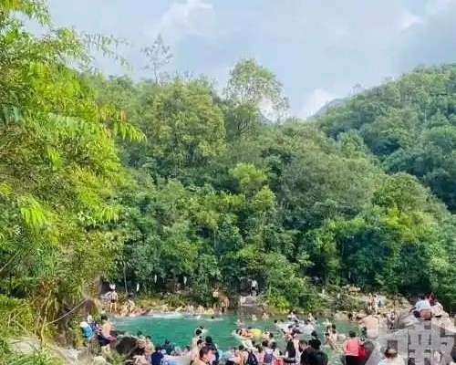  全數尋獲惟均無生命跡象