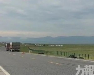 司機每隻要賠這個價