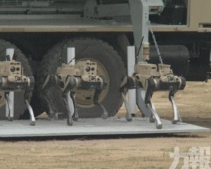 央視披露「機器狼群」無人作戰系統　 