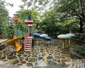 多人合力施救仍溺斃母親懷中