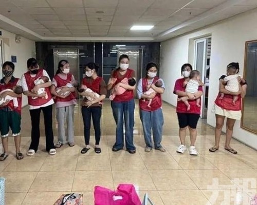 救出11名嬰兒 揭牽涉逾百案件