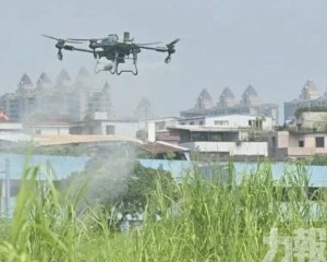 專家警告蚊子已現抗藥性