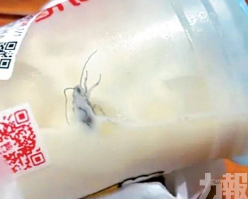 未開封奶茶驚現蟑螂