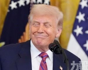 手握這幾家科技股