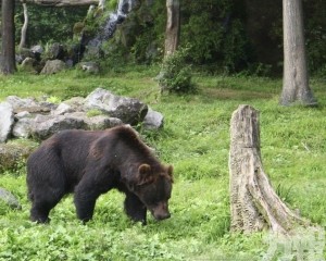 獵人曝高風險低報籌「油錢都不夠」