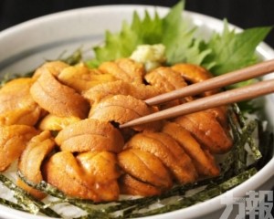 北海道馬糞海膽蓋飯飆至1.8萬日圓