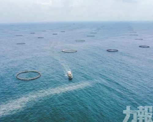 全產業鏈政策支持受關注