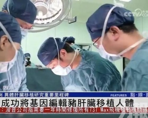 基因編輯豬肺成功移植腦死人體