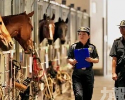粵港跨境賽馬實現無感查驗