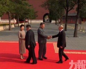 習近平偕夫人迎接外國元首並合影