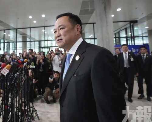 自稱「100%中國人後代」