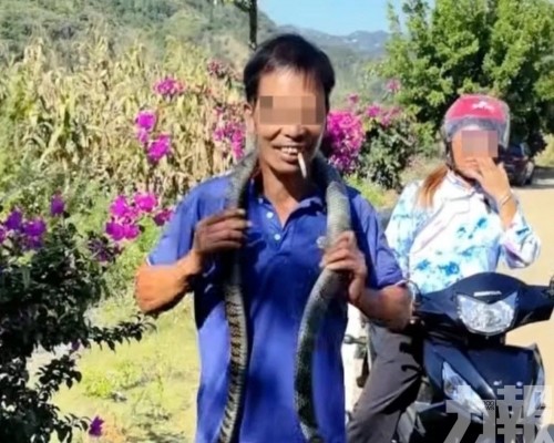 貴州大叔遭咬傷中毒亡