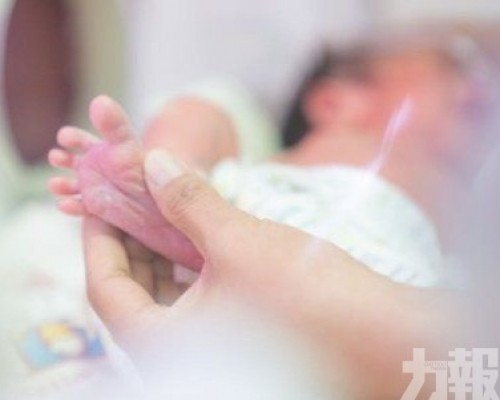 領廣東育兒補貼更容易
