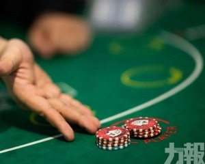 摩通料澳門全年復蘇勢頭持續