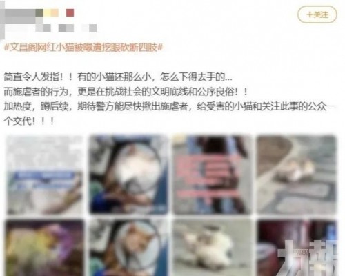 貴陽男子認造謠遭行政處罰