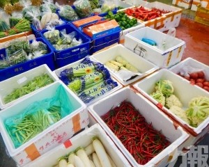 市政署：將持續加大來貨量