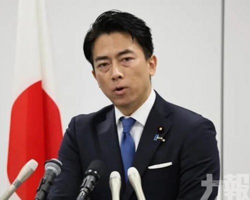 宣布角逐自民黨總裁
