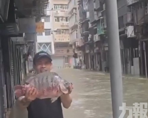  澳門民眾上街捕魚短片瘋傳