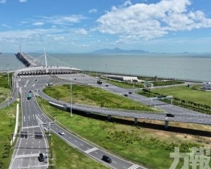 大橋口岸年內車流突破500萬輛次