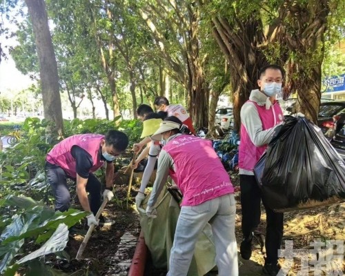 嚴防登革熱基孔肯雅熱傳播