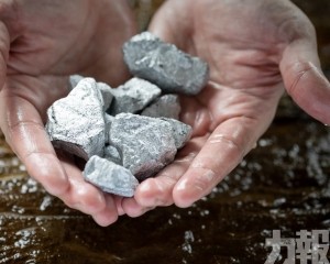 全球晶片業進入高度警戒