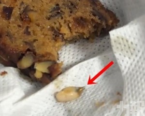 公司稱已交工廠調查