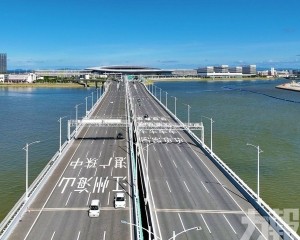 每日限額百輛可留港三天