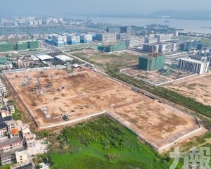 總投資8億元打造番茄產業高地