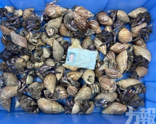 屬禁止攜帶進境動物 屬禁止攜帶進境動物