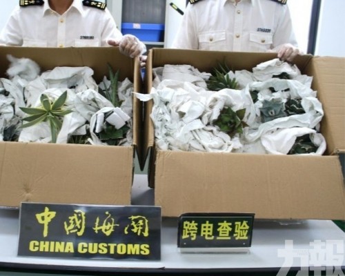 部分屬國際公約保護物種 部分屬國際公約保護物種