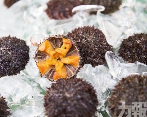 變廚餘為飼料助改善海洋生態 變廚餘為飼料助改善海洋生態