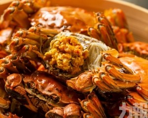 延熟反令蟹膏更飽滿 延熟反令蟹膏更飽滿