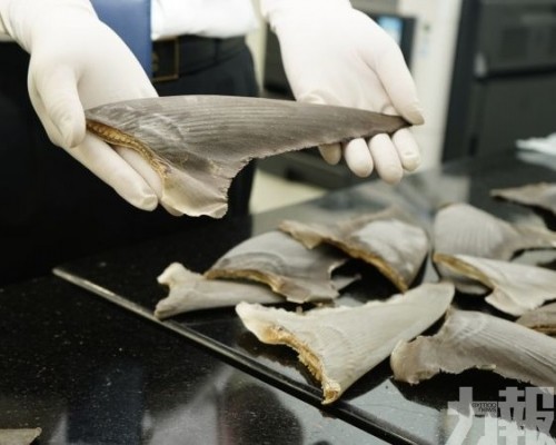 涉多種列入CITES附錄Ⅱ物種