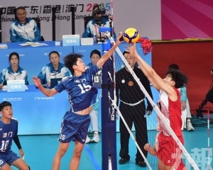 澳體育代表團完成拳擊及沙灘排球賽事