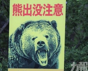 出動自衛隊真的有用？