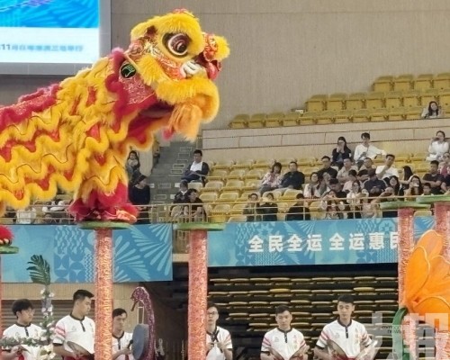 舞龍舞獅粵港澳聯隊奪南獅自選一等獎