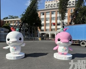 十五運吉祥物「大灣雞」爆火