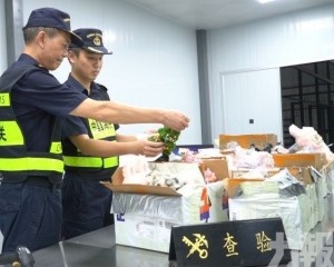 查獲74件疑似侵權泡泡瑪特玩偶