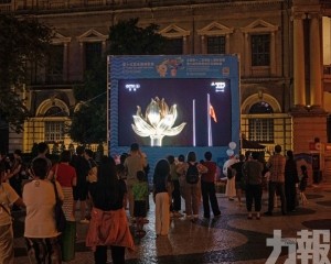 澳門11月中上旬賭收增長動能略放緩