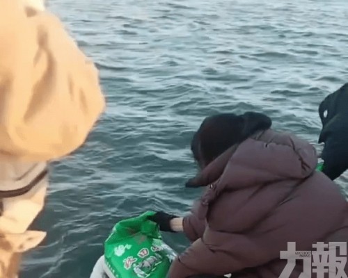 當局：屬個人行為 或破壞海洋生態