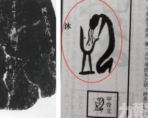 專家澄清非真文獻