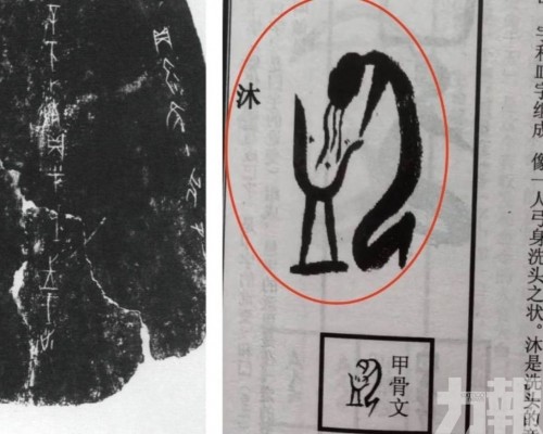 專家澄清非真文獻