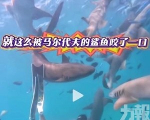 中國遊客被鯊魚咬一口