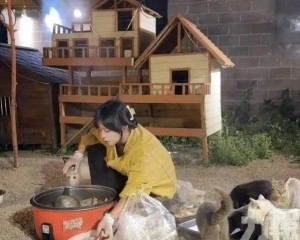 雲南女蹭百場婚宴救毛孩