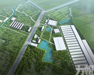 年供5.4萬噸鮮蛋支援灣區「菜籃子」